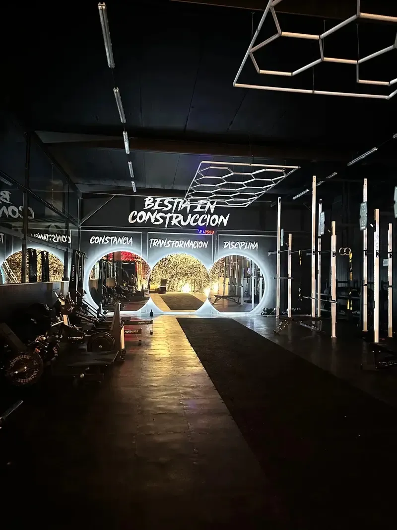 Rack y discos de entrenamiento